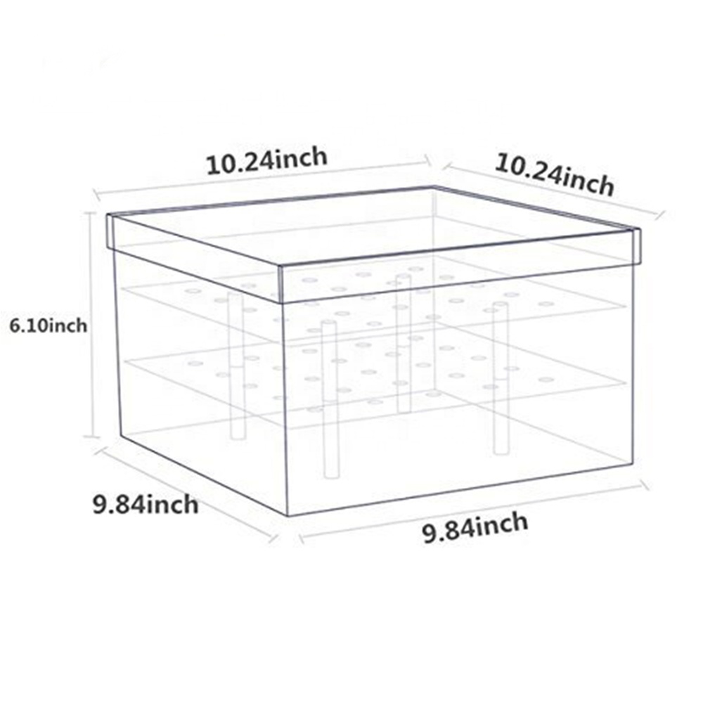 Custom Logo and size acrylic flower box with 25 holes for roses