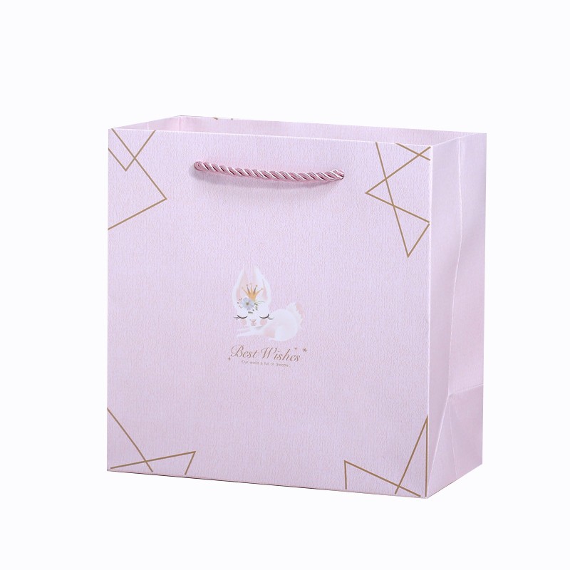 Custom Printed Luxury Gift Paper Bag With Cotton Rope Handle