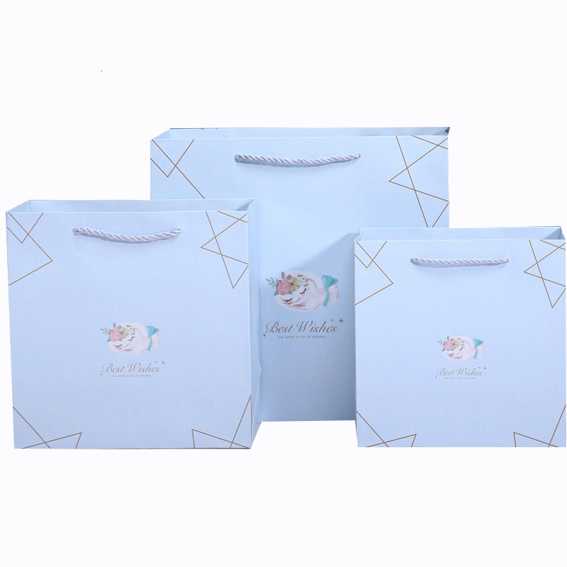 Custom Printed Luxury Gift Paper Bag With Cotton Rope Handle